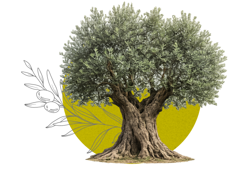 il territorio
